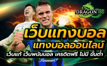 เว็บแทงบอล